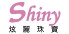 shiny logo